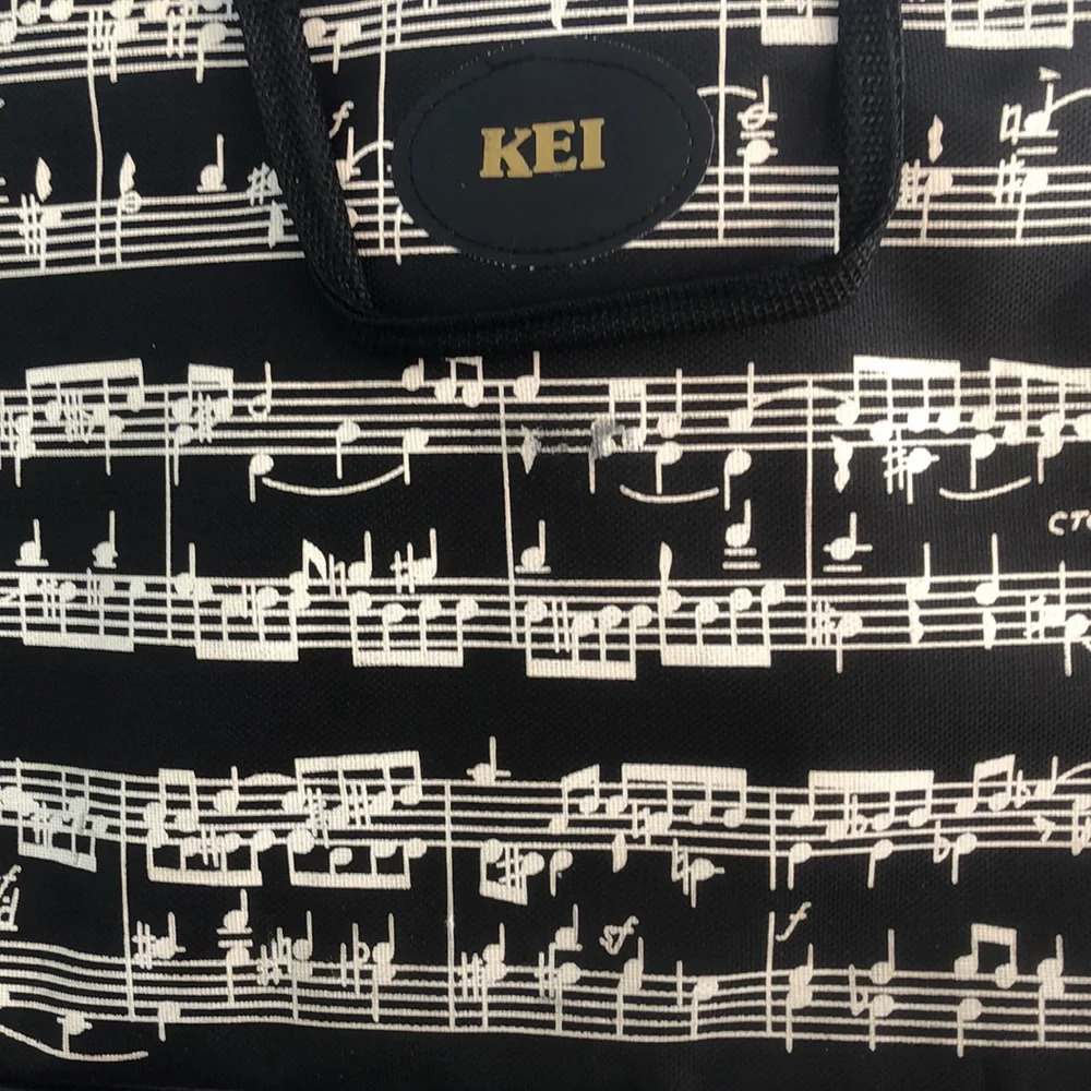 MUSICIANS LAPTOP CARRY CASE • ZIP AROUND STYLE • VINYL • 16” x 12”